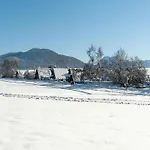Apartman Village Vorauf, *